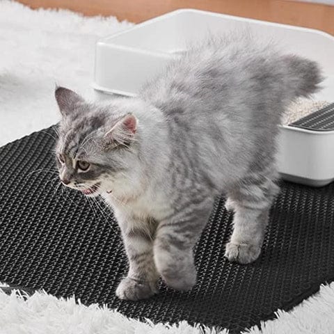 Cat Litter Gray Mat