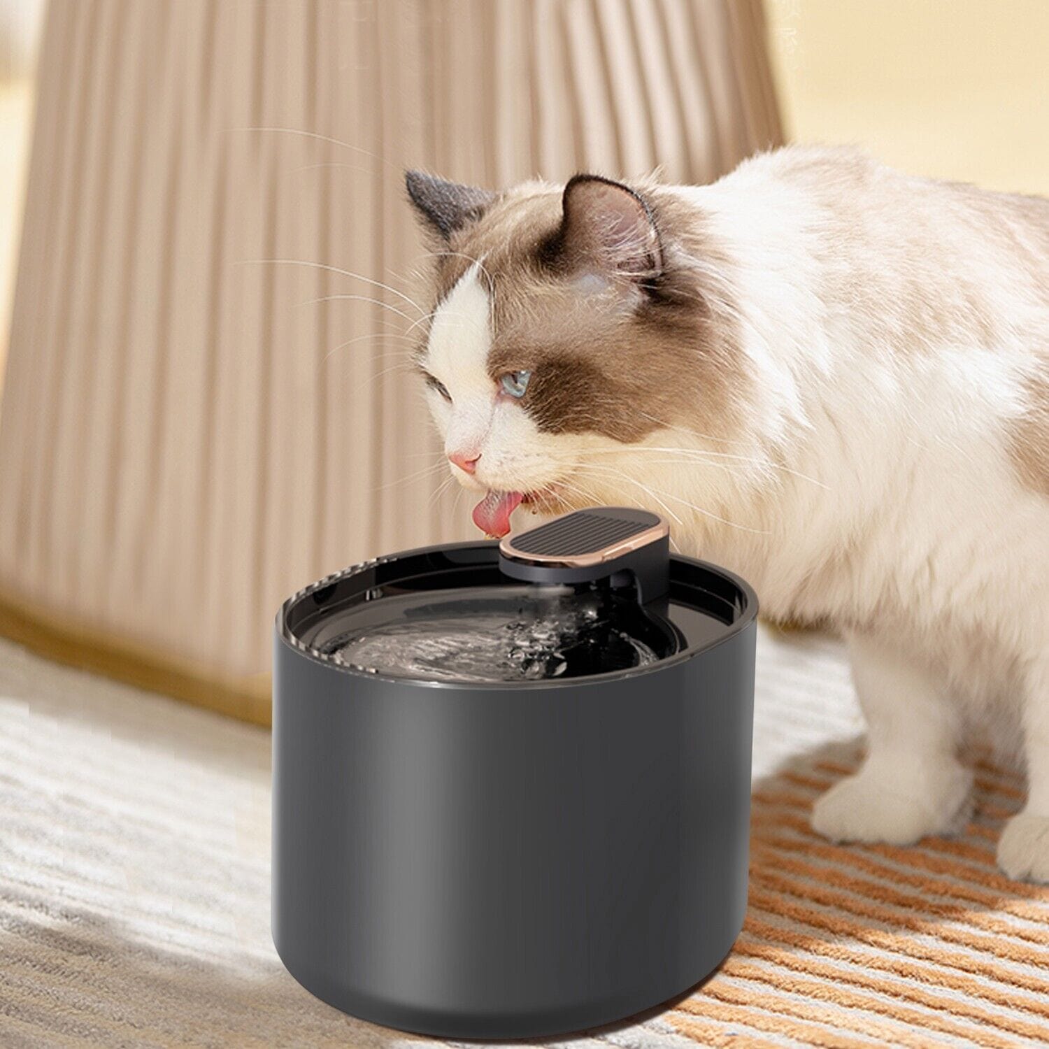 Automatic cat cheap water fountain