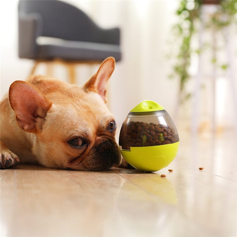 SunGrow Interactive IQ Treat Ball Toy - Fun Slow Feeder - Food Dispenser - Prevents Obesity Improves Digestion - Stronger Dog-Pet Parent Relationship