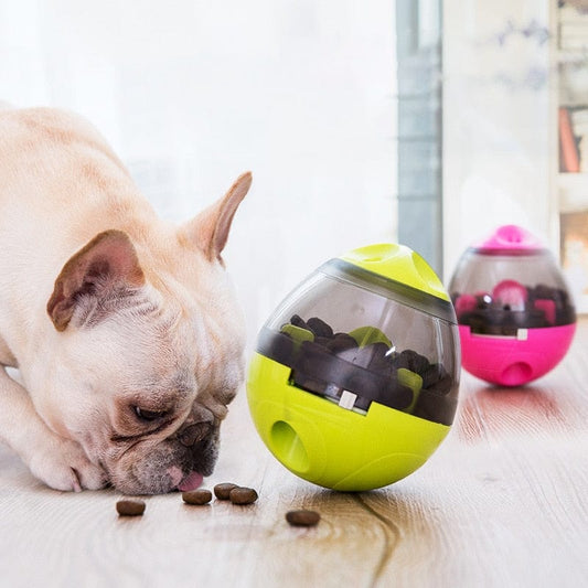 IQFeed™ Pet Treat Feeder